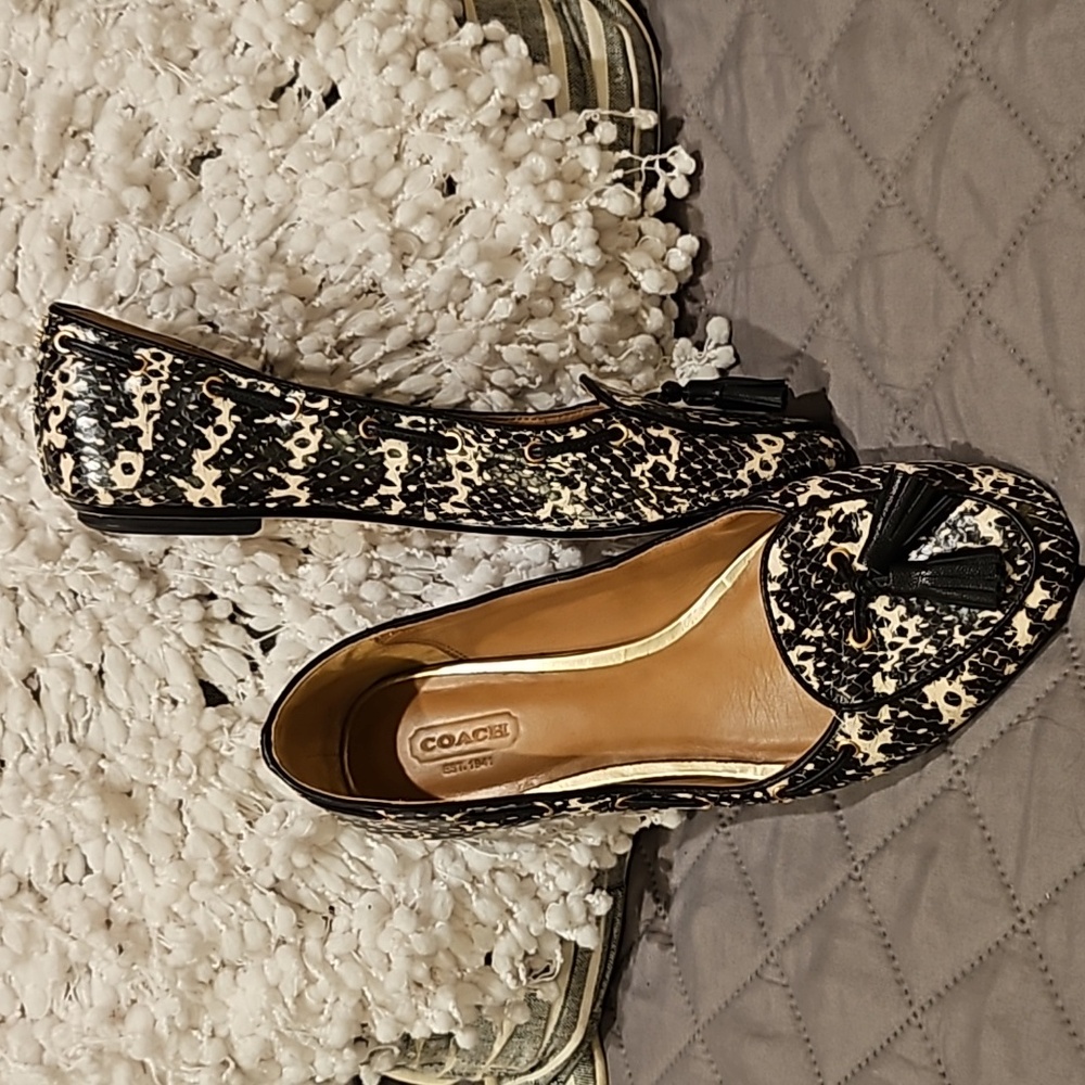 Coach Shoes